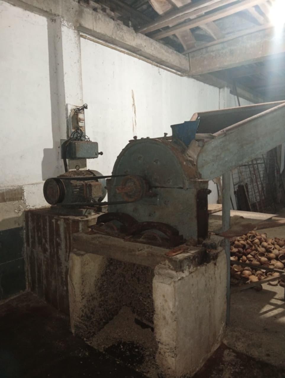 An old machine with an electric motor and belt drive, with a pile of coconut shells beside it